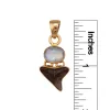 Fossil Shark Tooth Pendant with Moonstone Prehistoric Online