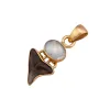 Fossil Shark Tooth Pendant with Moonstone Prehistoric Online