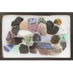 Mineral Collection, Collector Riker box Prehistoric Online