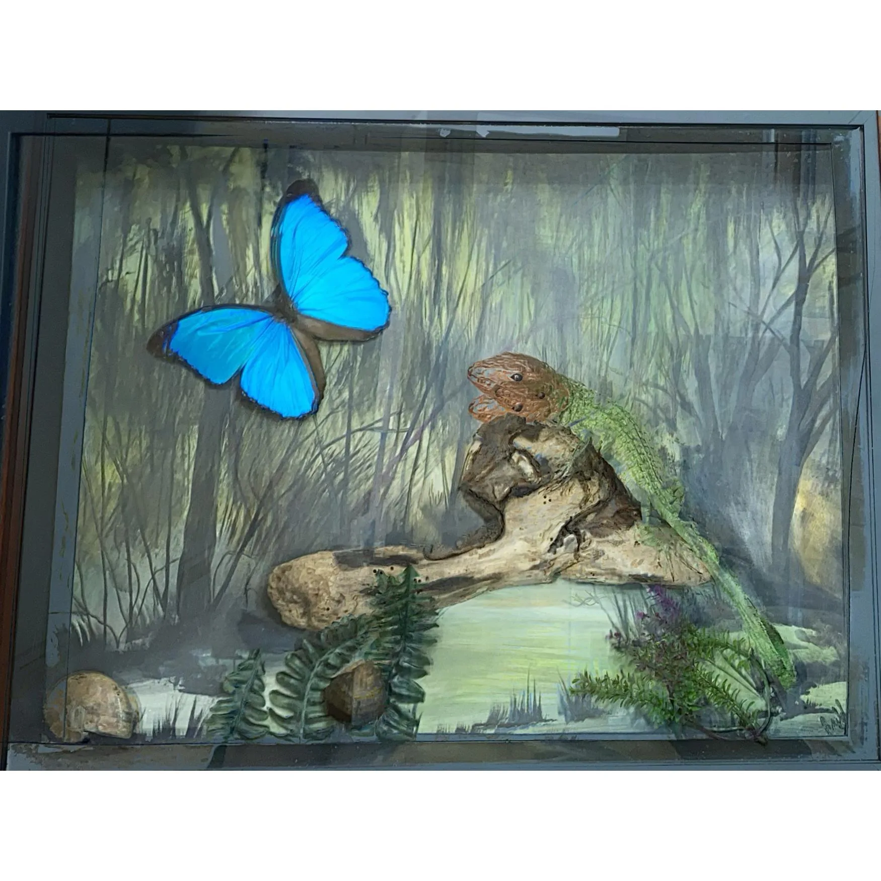 Diorama Framed Art – Caiman Lizard Prehistoric Online
