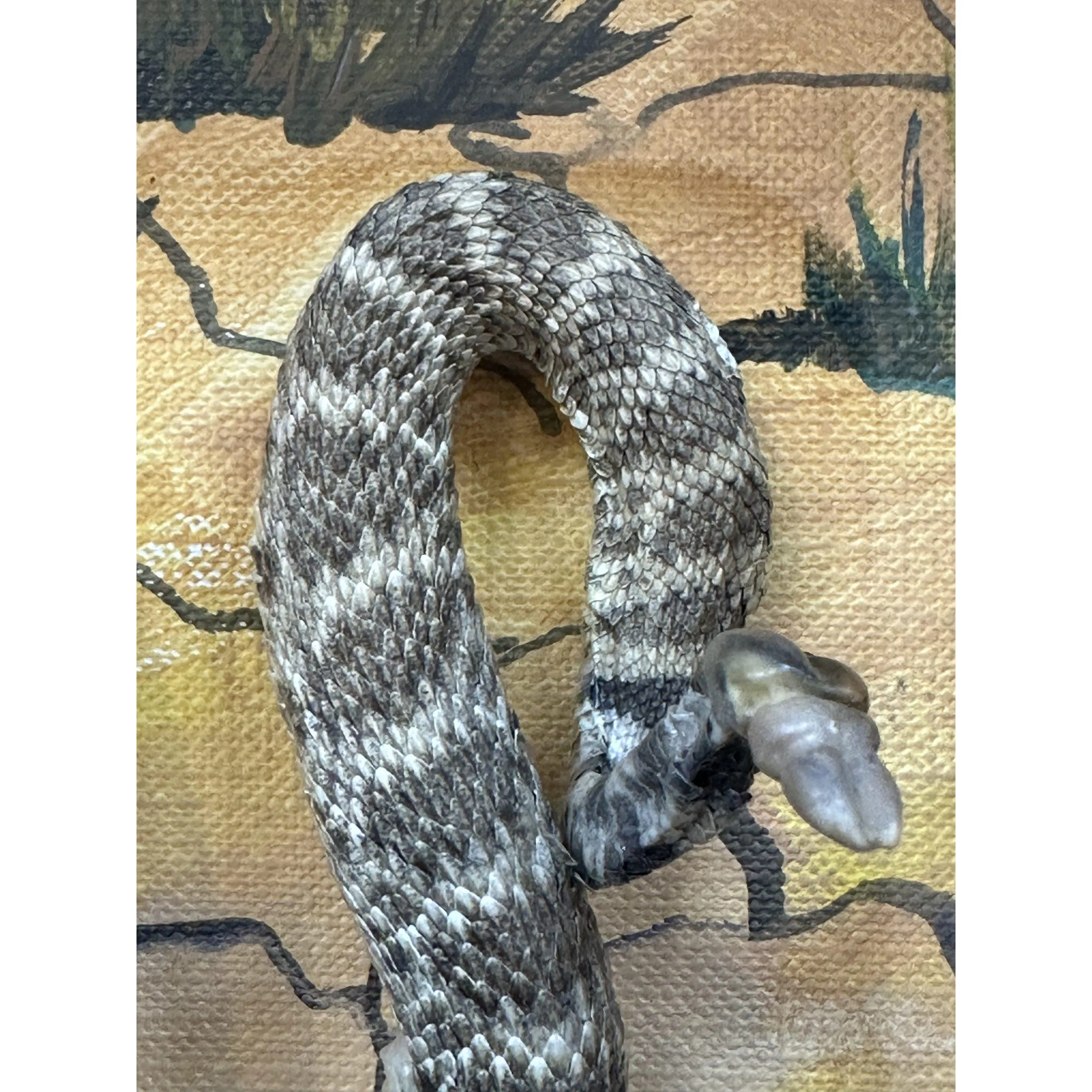 Rattlesnake, Diorama Framed Art Prehistoric Online