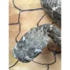 Rattlesnake, Diorama Framed Art Prehistoric Online