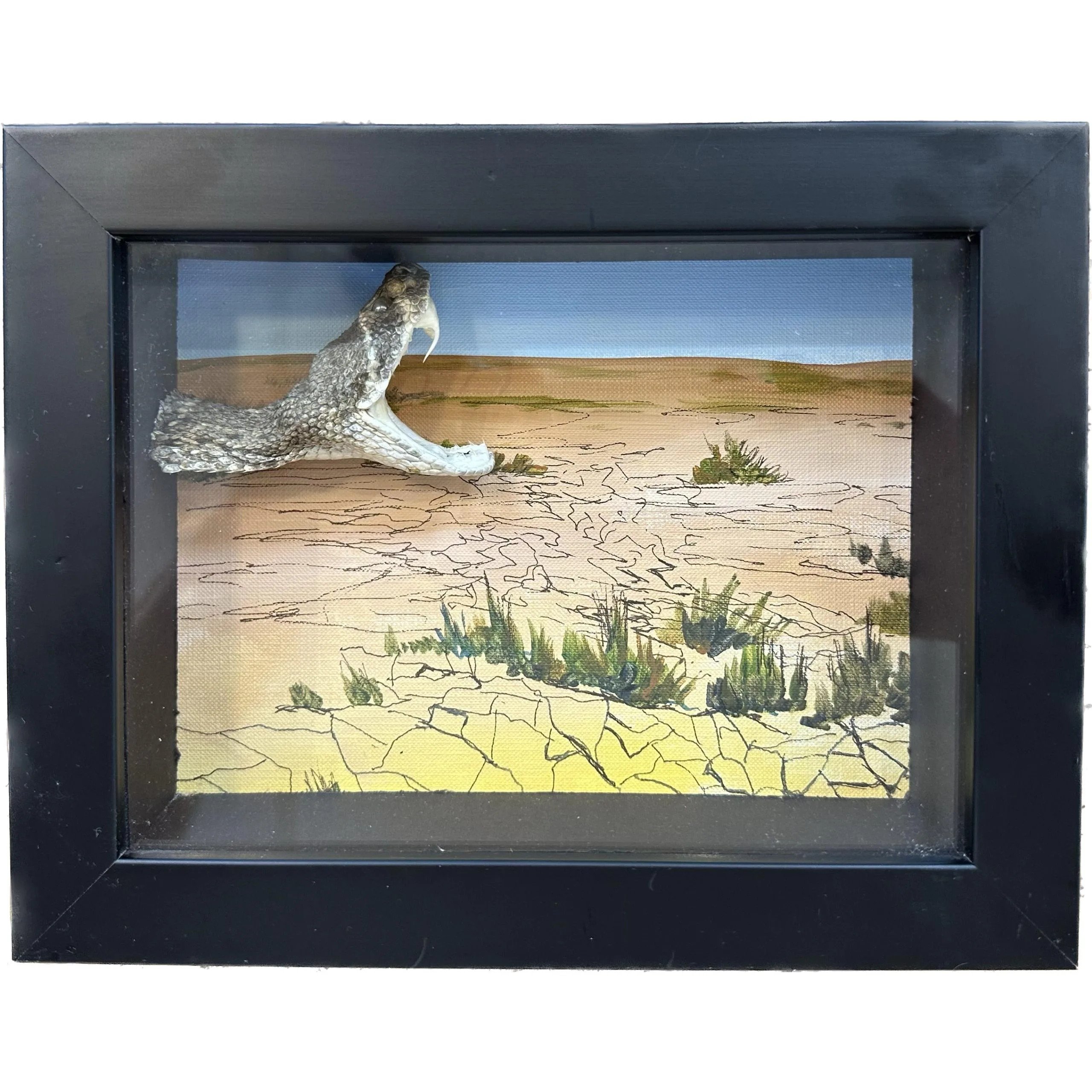 Diorama Framed Art – Rattlesnake Snake Prehistoric Online