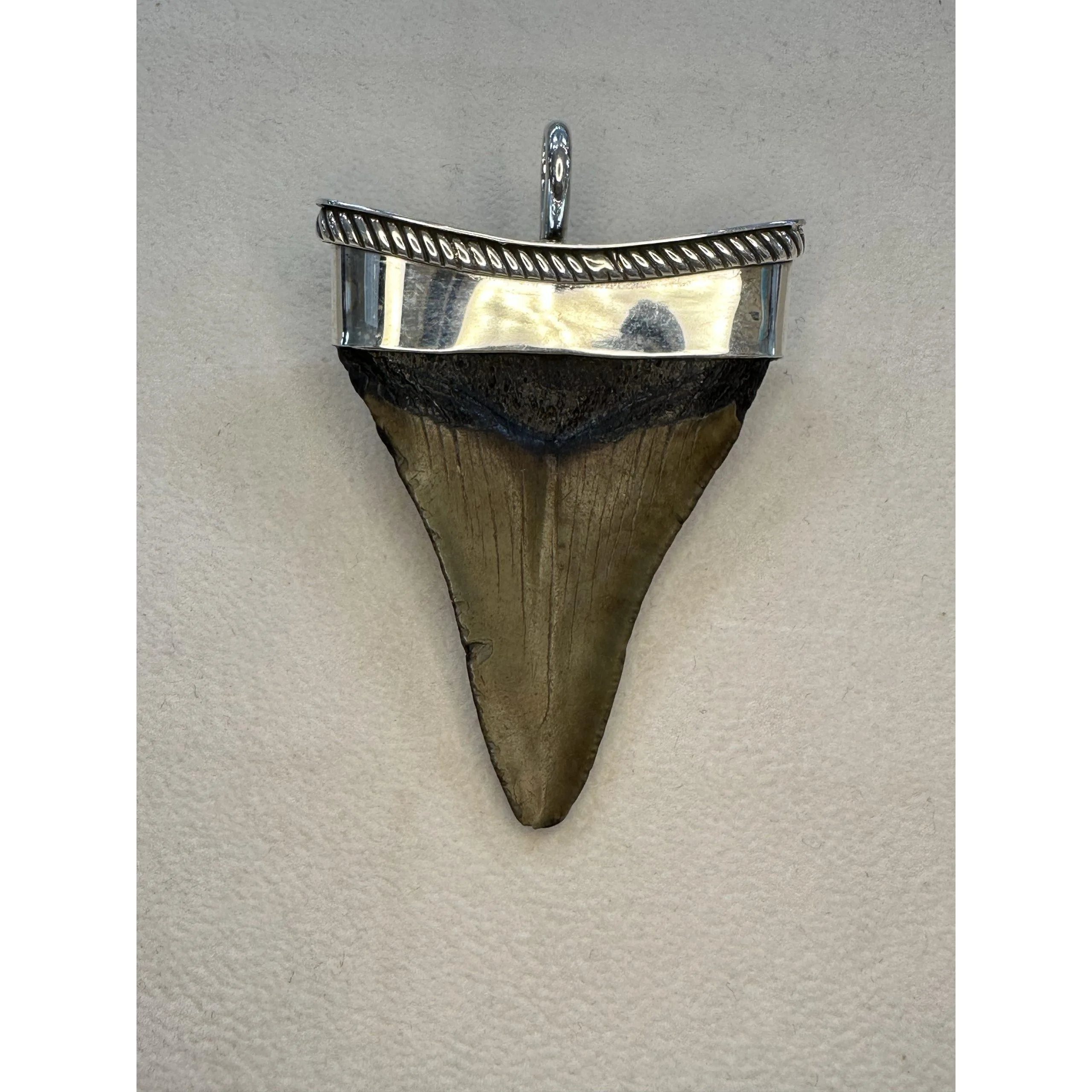 Fossil Shark Tooth Pendant, Silver .925 Prehistoric Online