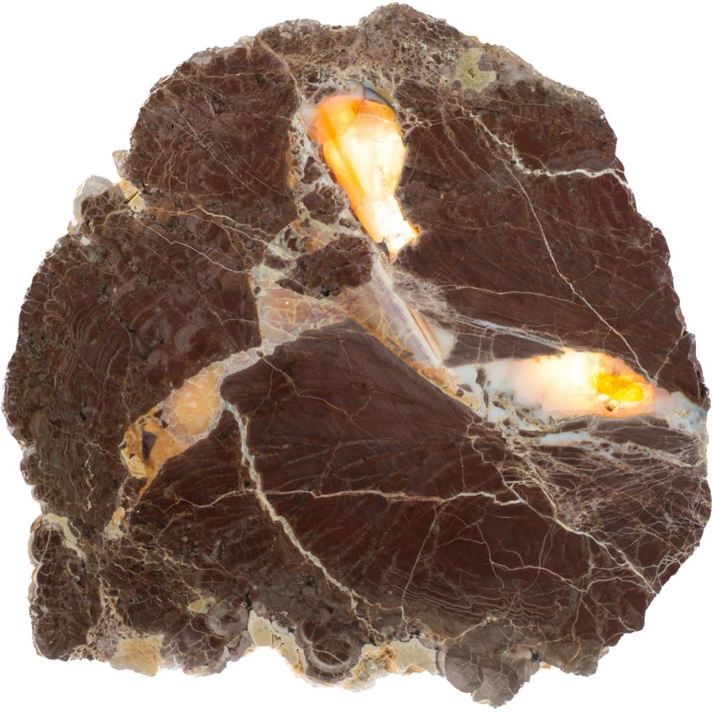 This is a picture of a rare Oregon thunderegg opal. It is huge in size and possesses a distinct brown color with yellow veins.