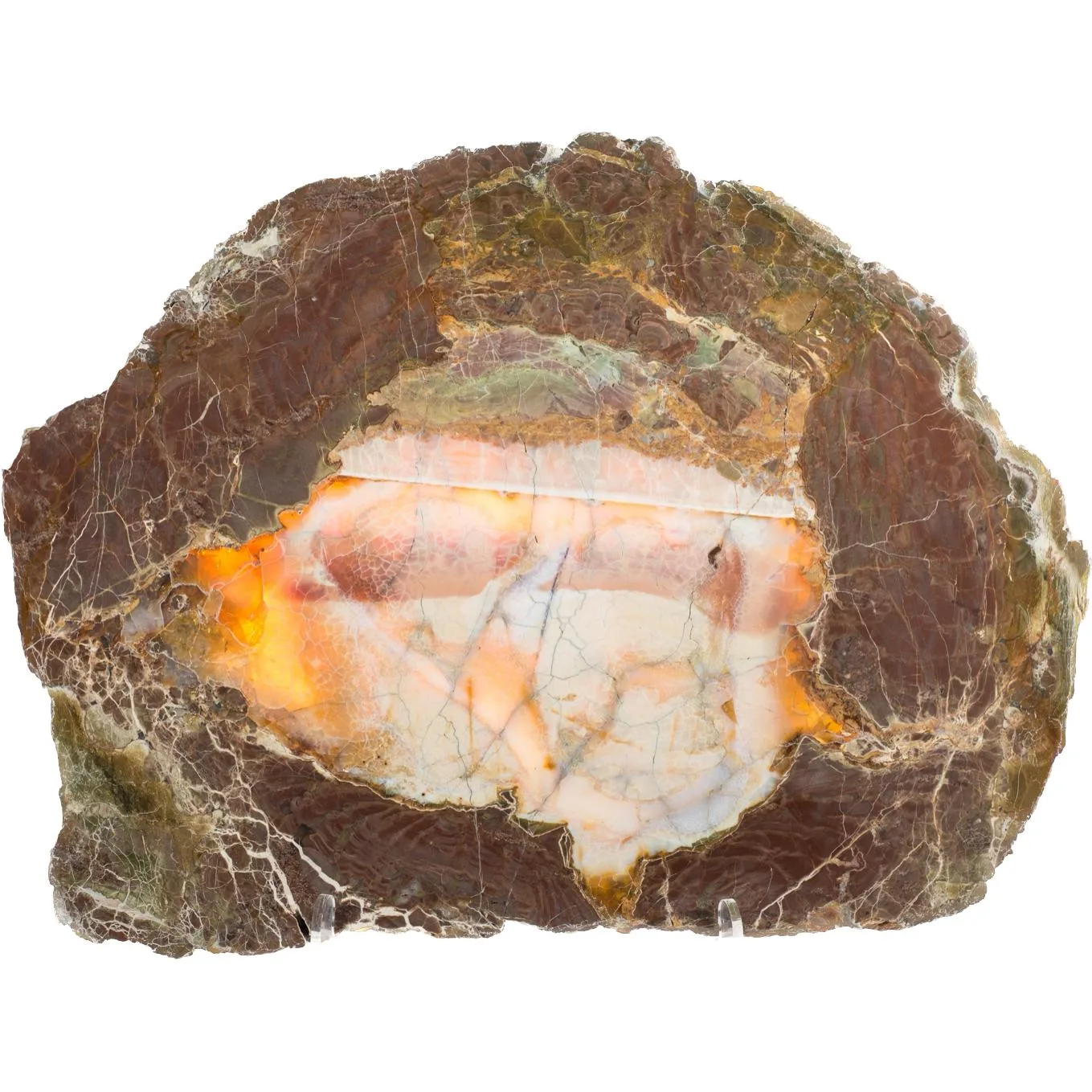 Opal, Oregon Thunderegg   23″x17″ Prehistoric Online