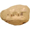 Mosasaur Jaw Composite  Morocco Prehistoric Online
