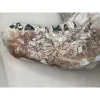 Oreodont Skull, Lowers – South Dakota Prehistoric Online