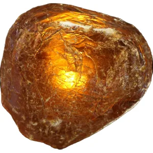 Copal Amber