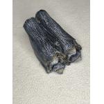 Fossil Bison Tooth – Florida, blue vivianite tooth Prehistoric Online
