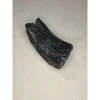 Fossil Horse Tooth – Florida, complete molar, fantastic patina Prehistoric Online