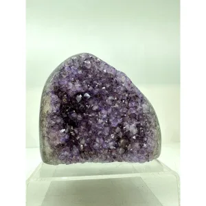 Amethyst Stand up, Uruguay Promotes Calm Prehistoric Online