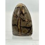 Septarian Stand up – Utah, volcanic mineral beauty Prehistoric Online