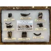Collector Riker Box- Iceage animals of Florida Prehistoric Online