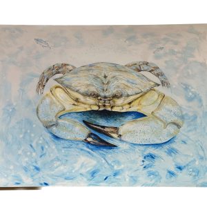 Fitz Originals- “Crab Legs” Prehistoric Online