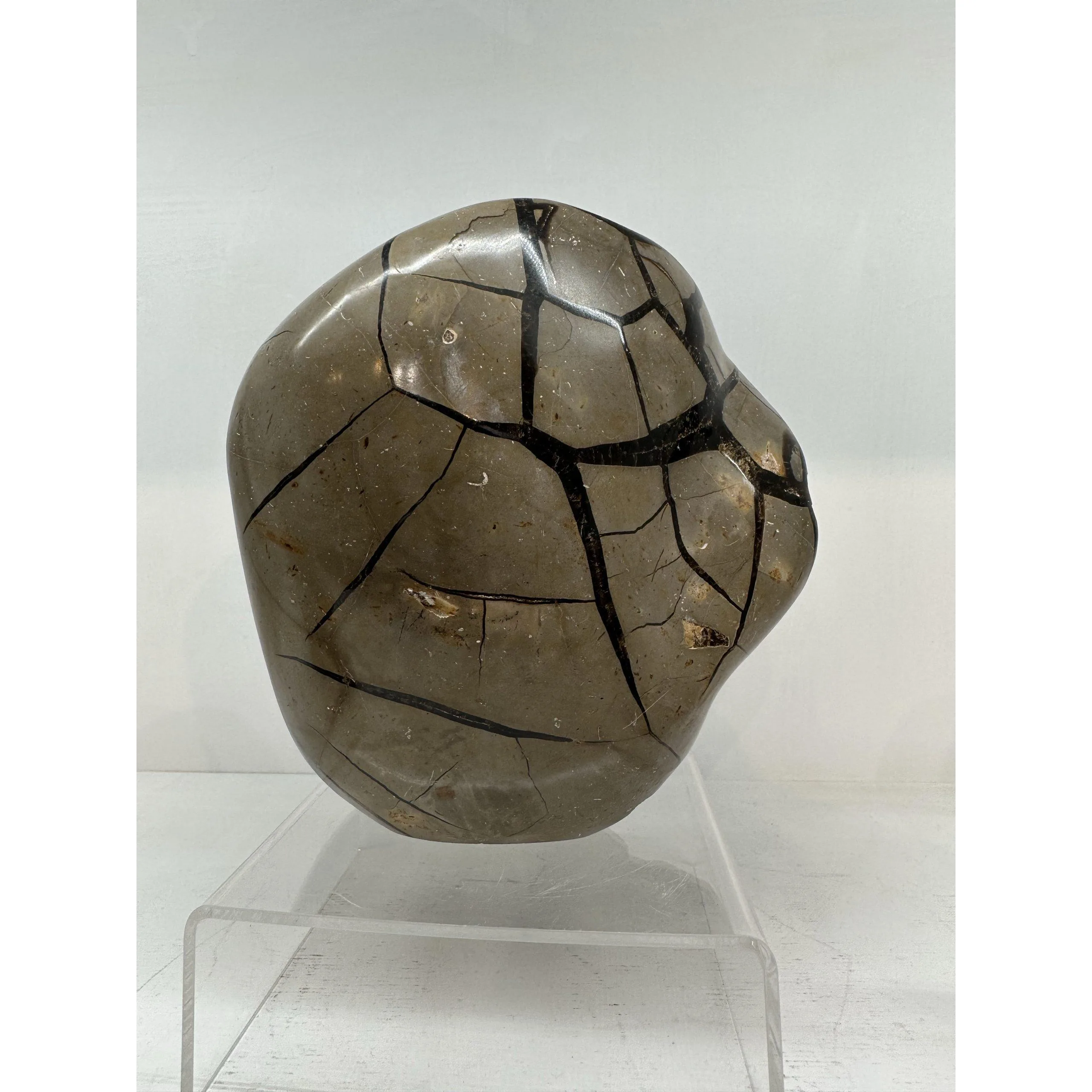 Septarian Stand up – Dragon Egg  abstract Prehistoric Online