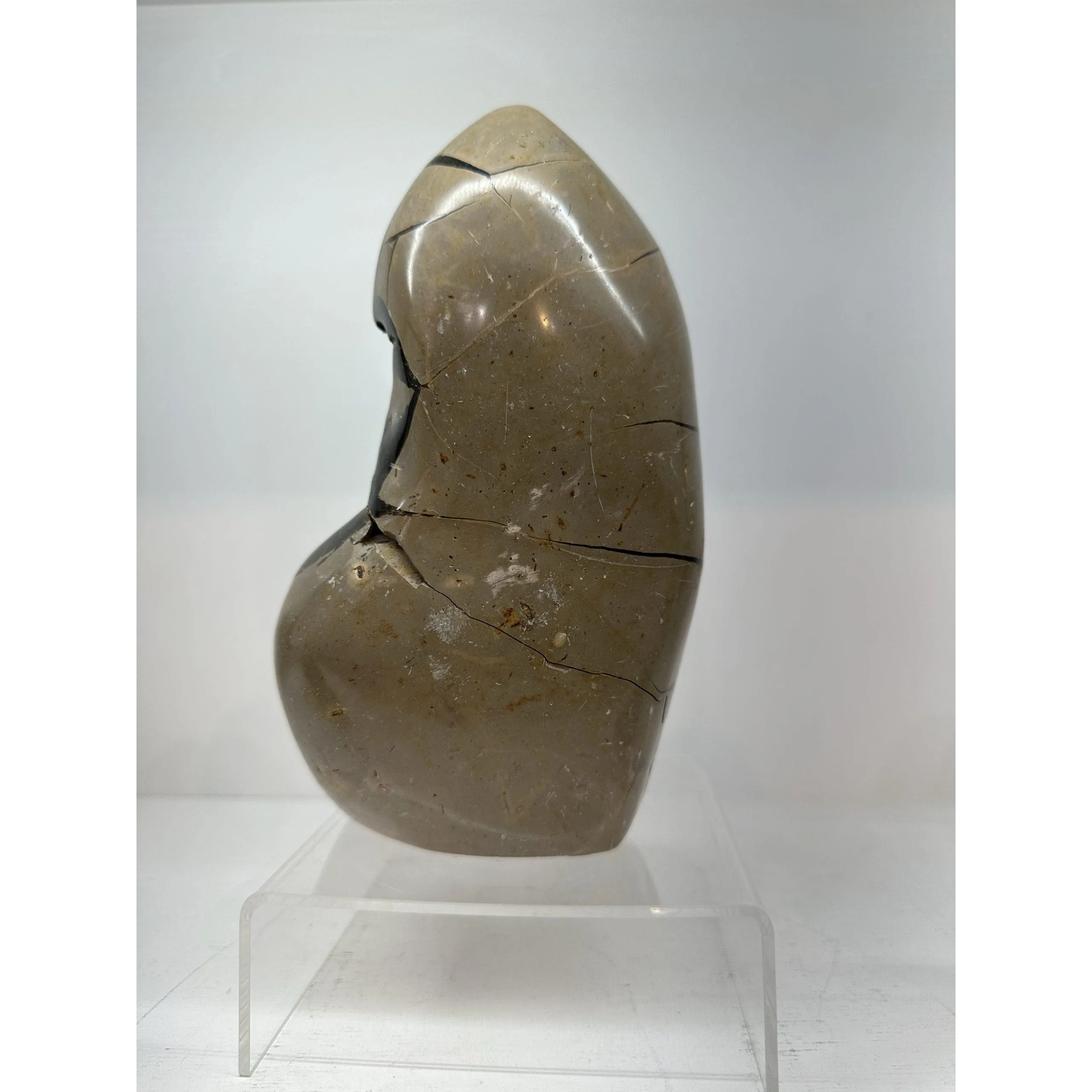 Septarian Stand up – Dragon Egg, tall aragonite center Prehistoric Online
