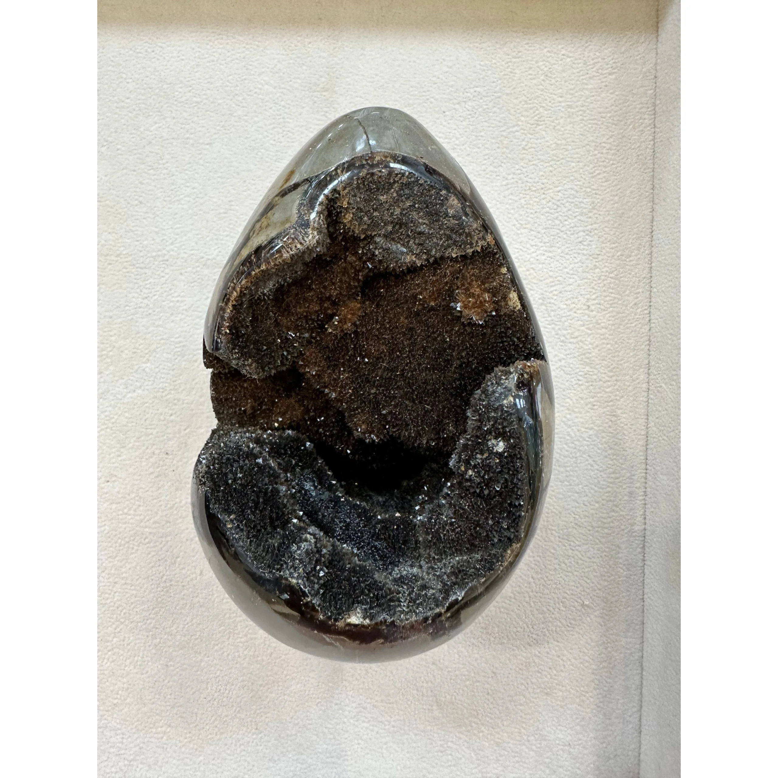 Septarian Dragon Egg –  4 inch, great open chamber Prehistoric Online
