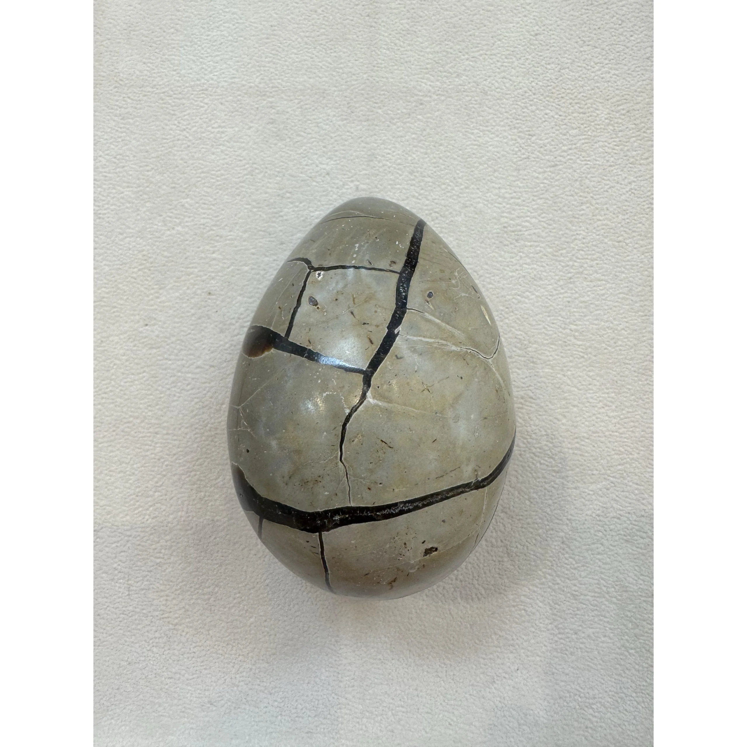 Septarian Dragon Egg –  3 1/2 inch Prehistoric Online