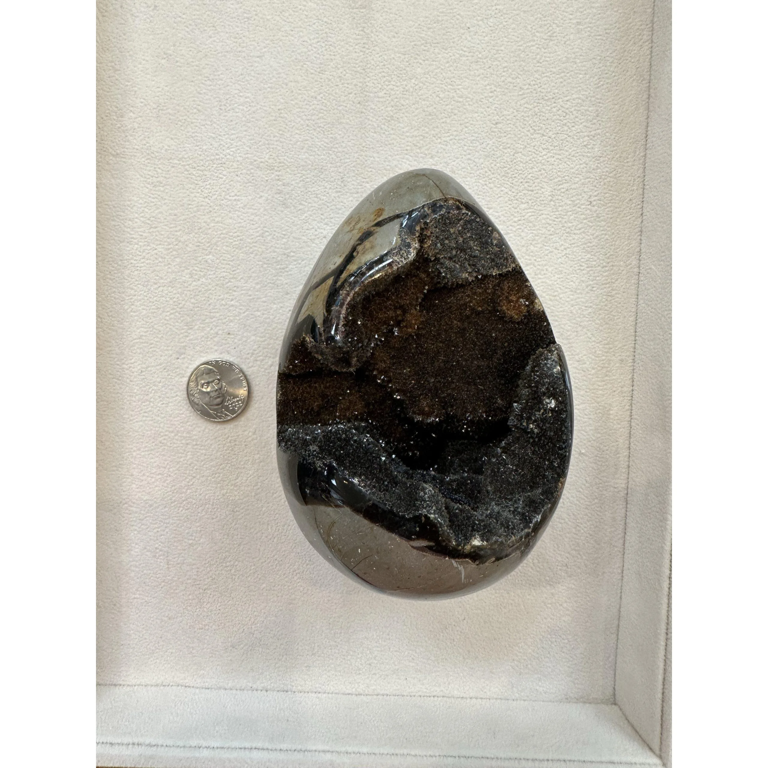 Septarian Dragon Egg –  4 inch, great open chamber Prehistoric Online