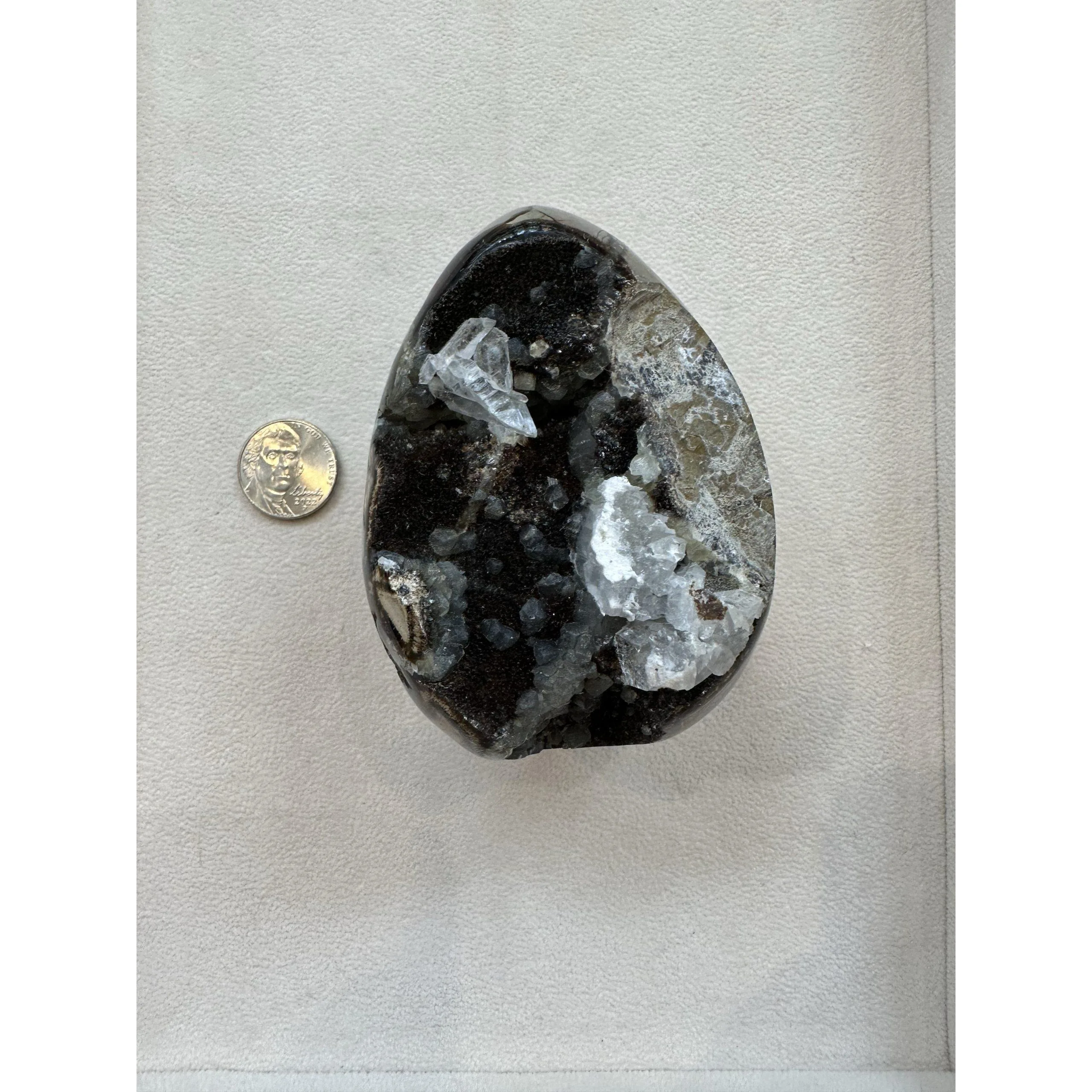 Septarian Dragon Egg –  3 1/2 inch, White calcite Prehistoric Online
