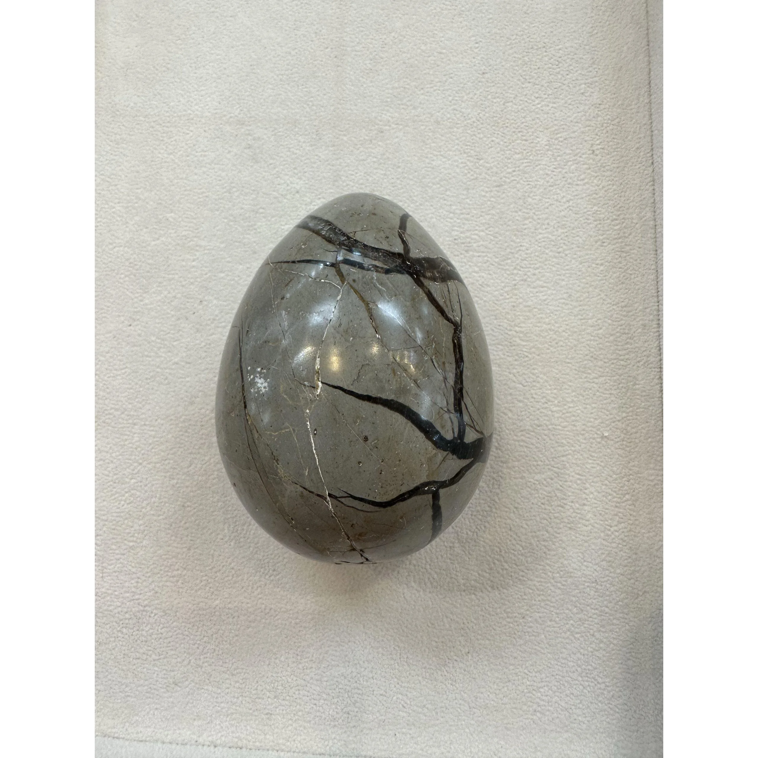 Septarian Dragon Egg –  3 1/2 inch, White calcite Prehistoric Online