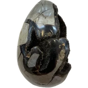 Septarian Dragon Egg –  3 1/2 inch Prehistoric Online