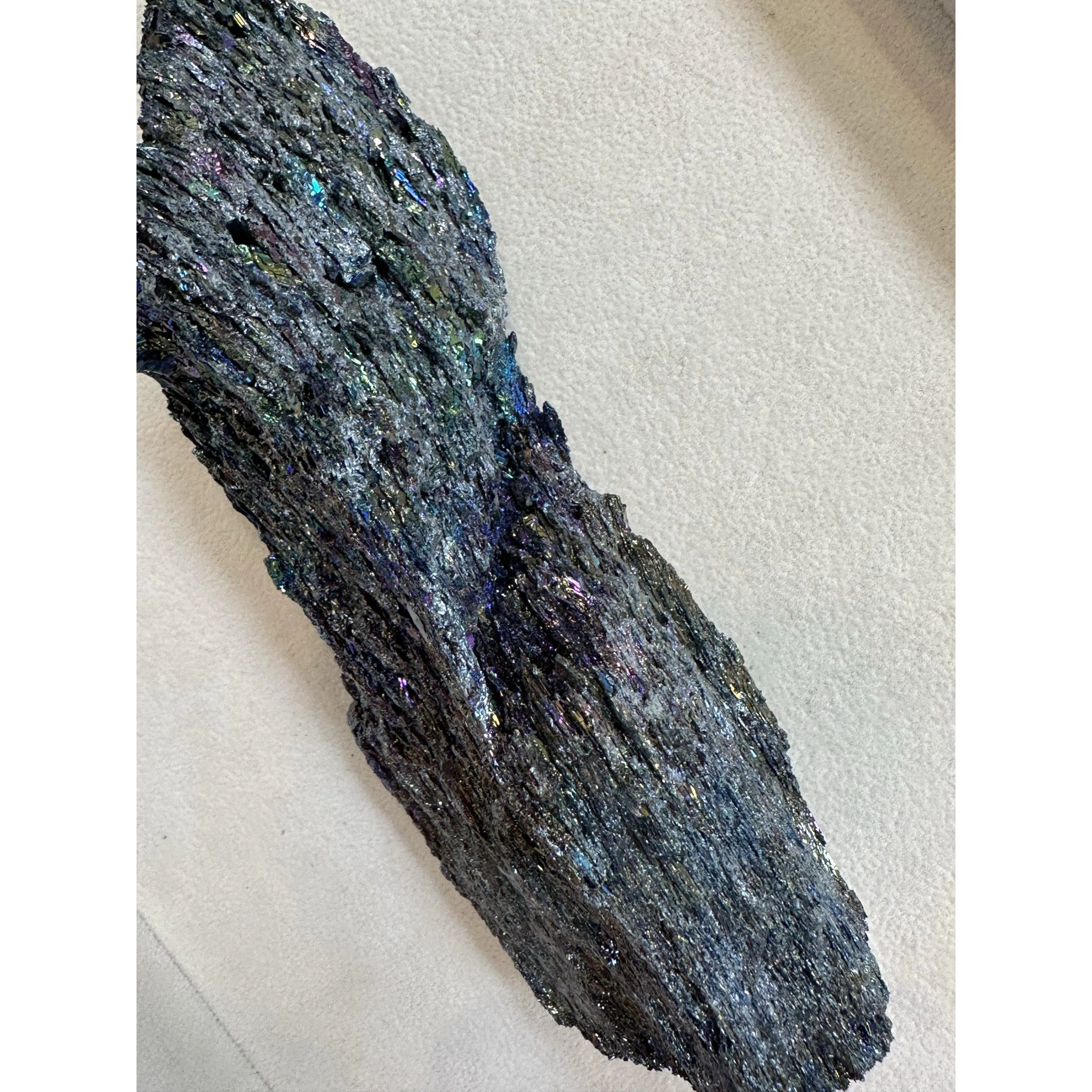 Silica Carbide Rough –  6 1/2 – 8 inch Prehistoric Online