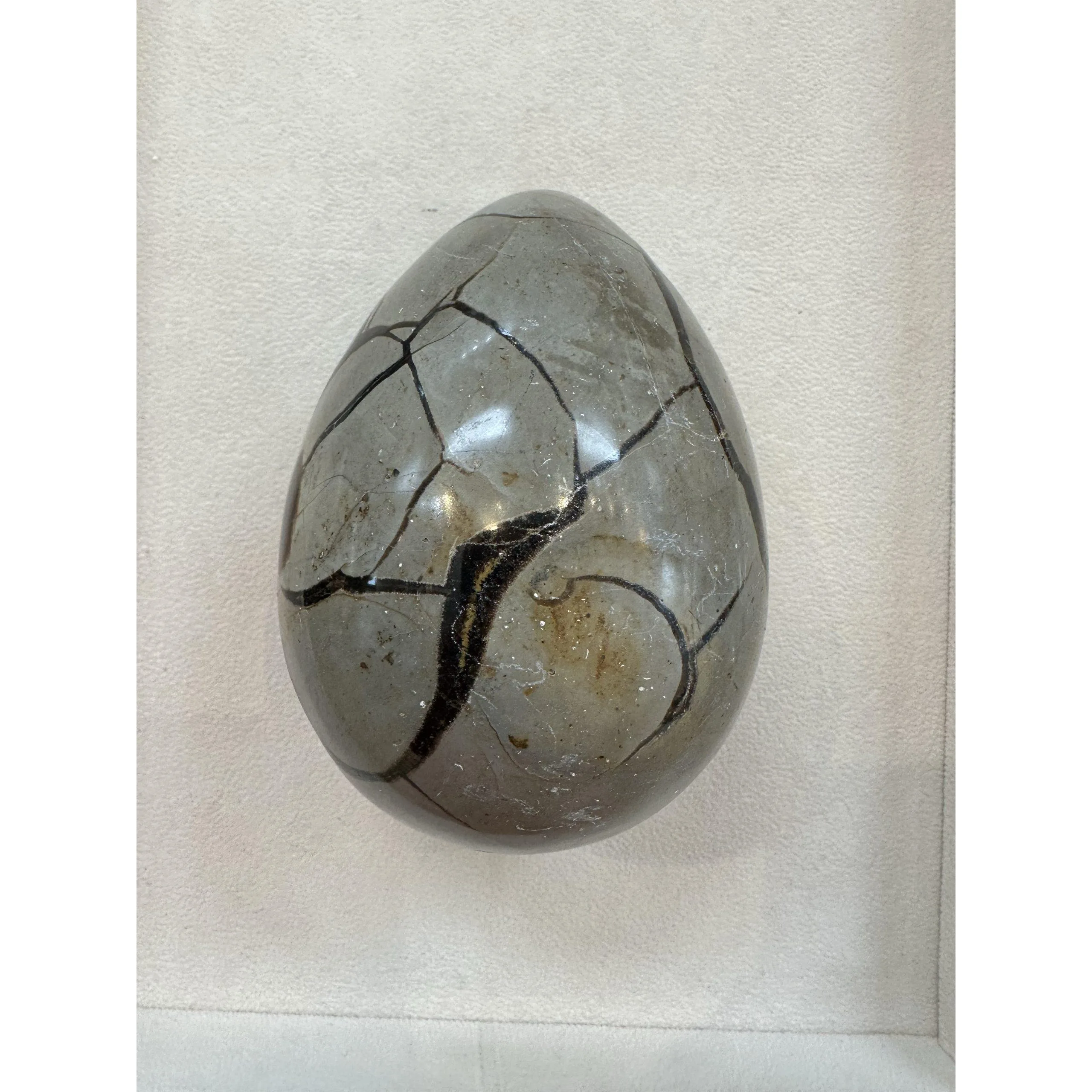 Septarian Dragon Egg – 4 inch detailed carving Prehistoric Online