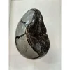 Septarian Dragon Egg –  4 inch Prehistoric Online