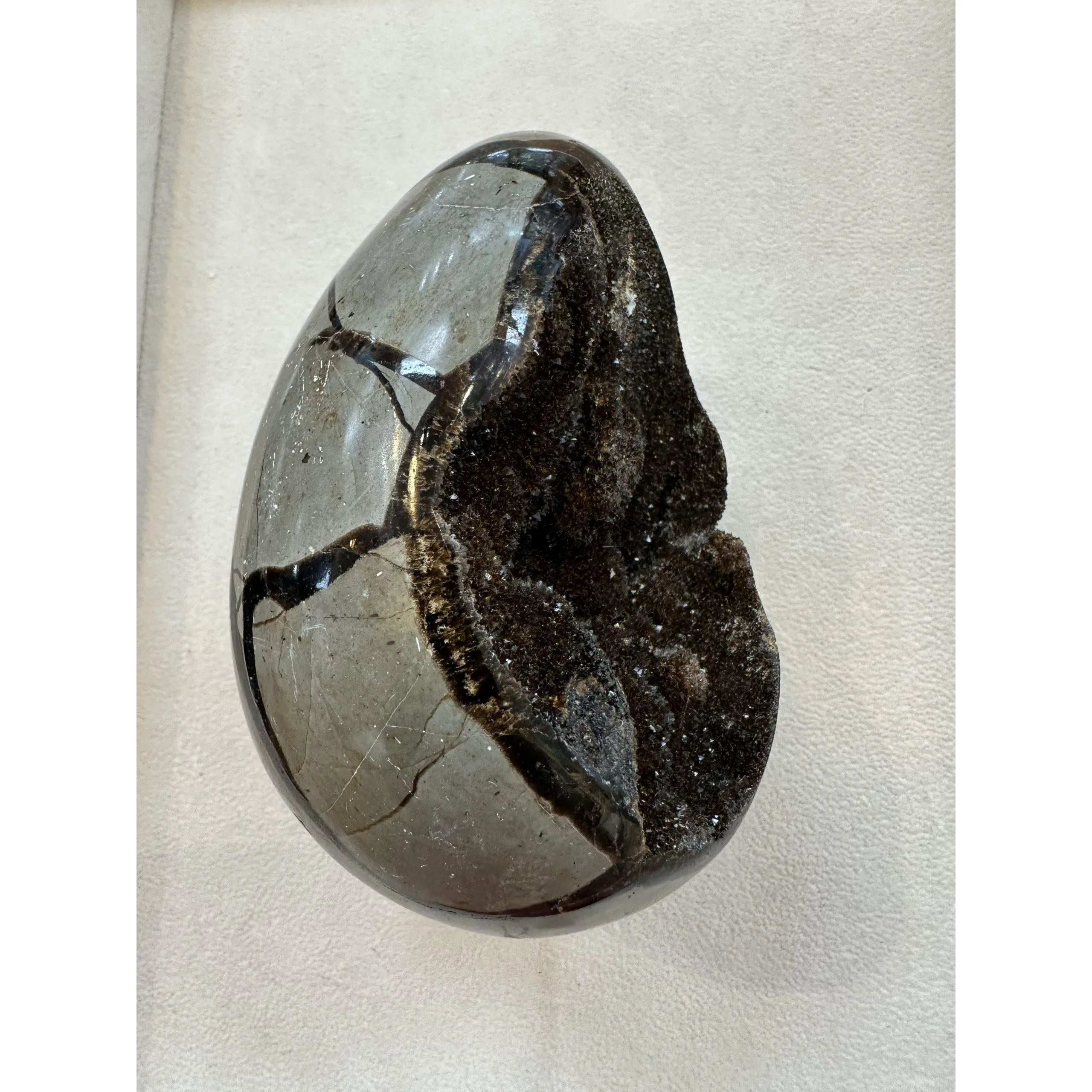 Septarian Dragon Egg – 4 inch detailed carving Prehistoric Online