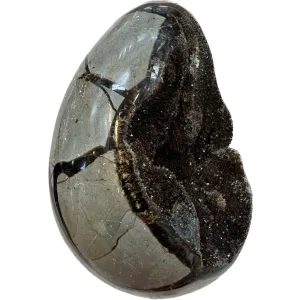 Septarian Dragon Egg –  4 inch Prehistoric Online