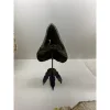 Dinosaur Footprint stand – Matte Black – 3 1/2 inch Prehistoric Online