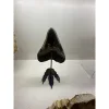 Dinosaur Footprint stand – Matte Black – 4 1/2 inch Prehistoric Online