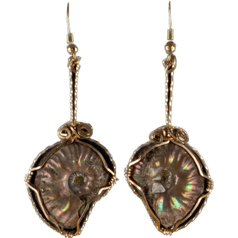 Ammonite Earrings, Madagascar  Ron Kless Original Prehistoric Online