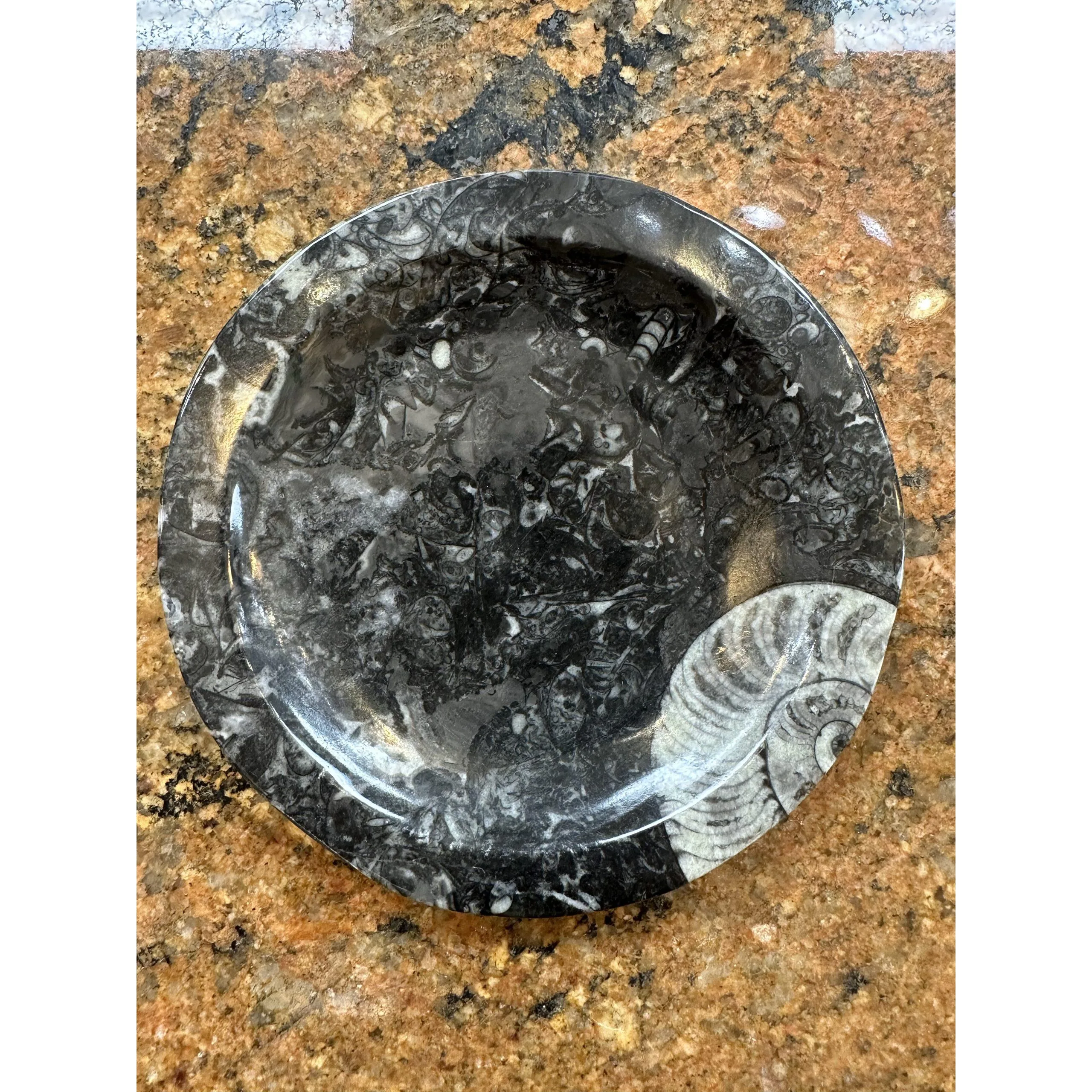 Goniatite – Ammonite, Break Plate 5 1/2″ round Prehistoric Online