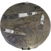 Fossil decorative round – 17 1/2″  diameter Prehistoric Online