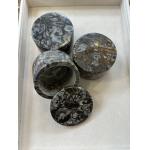 Goniatite Ammonite Pot Morocco Prehistoric Online