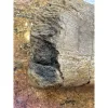 Hadrosaur Dinosaur Femur Head – Hell Creek Formation Prehistoric Online
