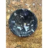 Fossil Bowl – 4 1/2 inch diameter Prehistoric Online