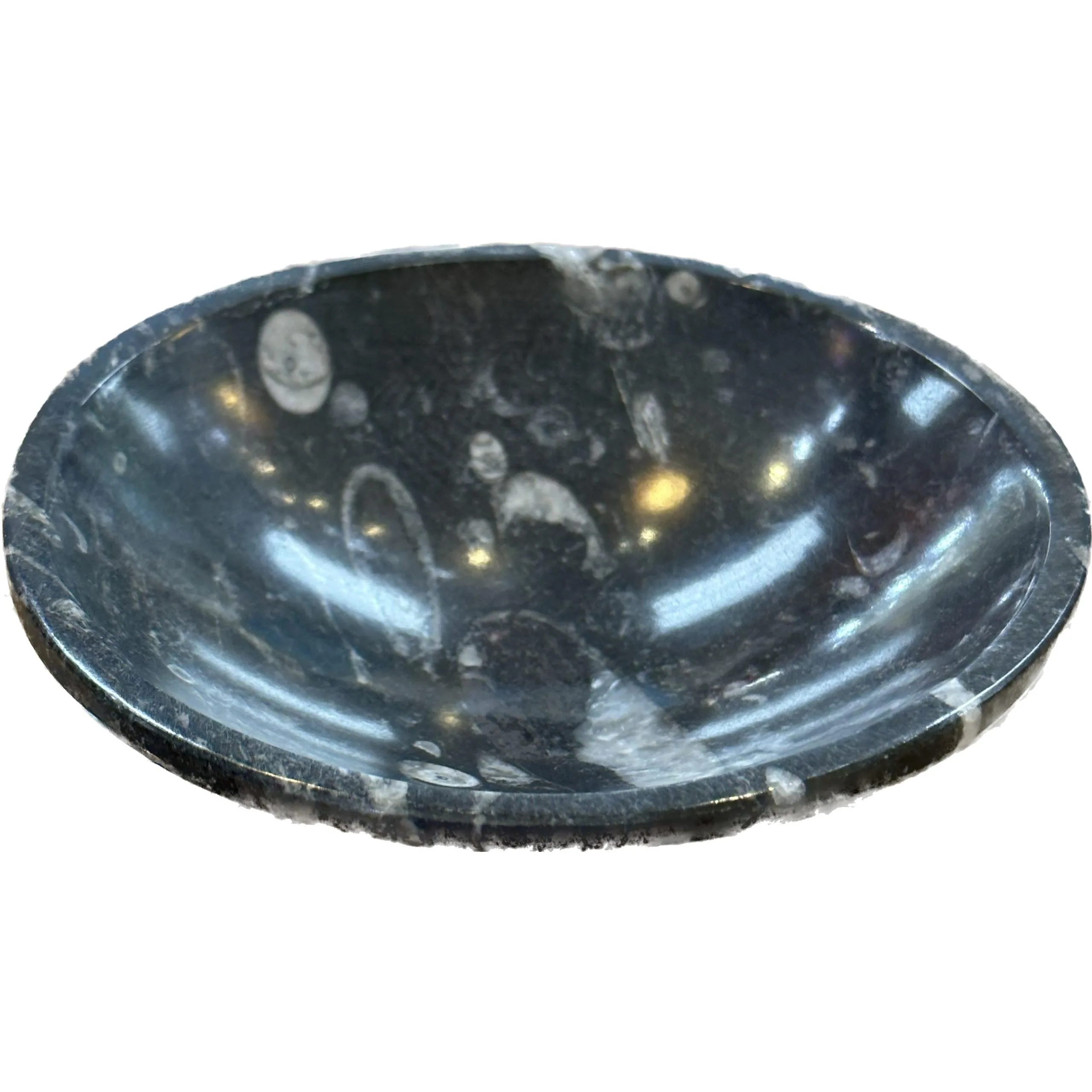 Fossil Bowl – 4 1/2 inch diameter Prehistoric Online