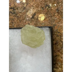 Collector Riker box – Libyan Desert Glass-XL Prehistoric Online