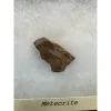 NWA Meteorite – Riker Collector Box Prehistoric Online