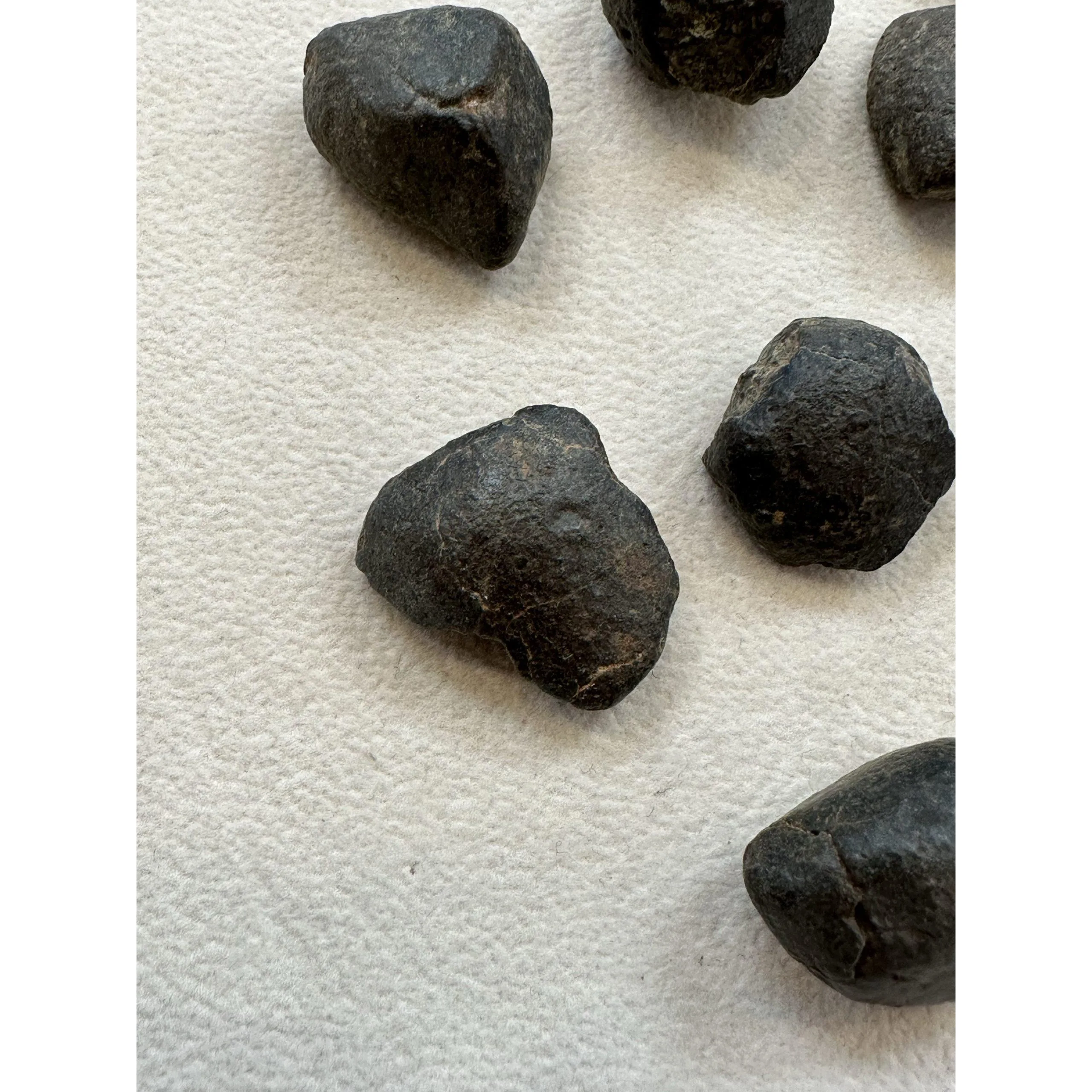 NWA Meteorite, Morocco –  Unclassified Find 2005 Prehistoric Online