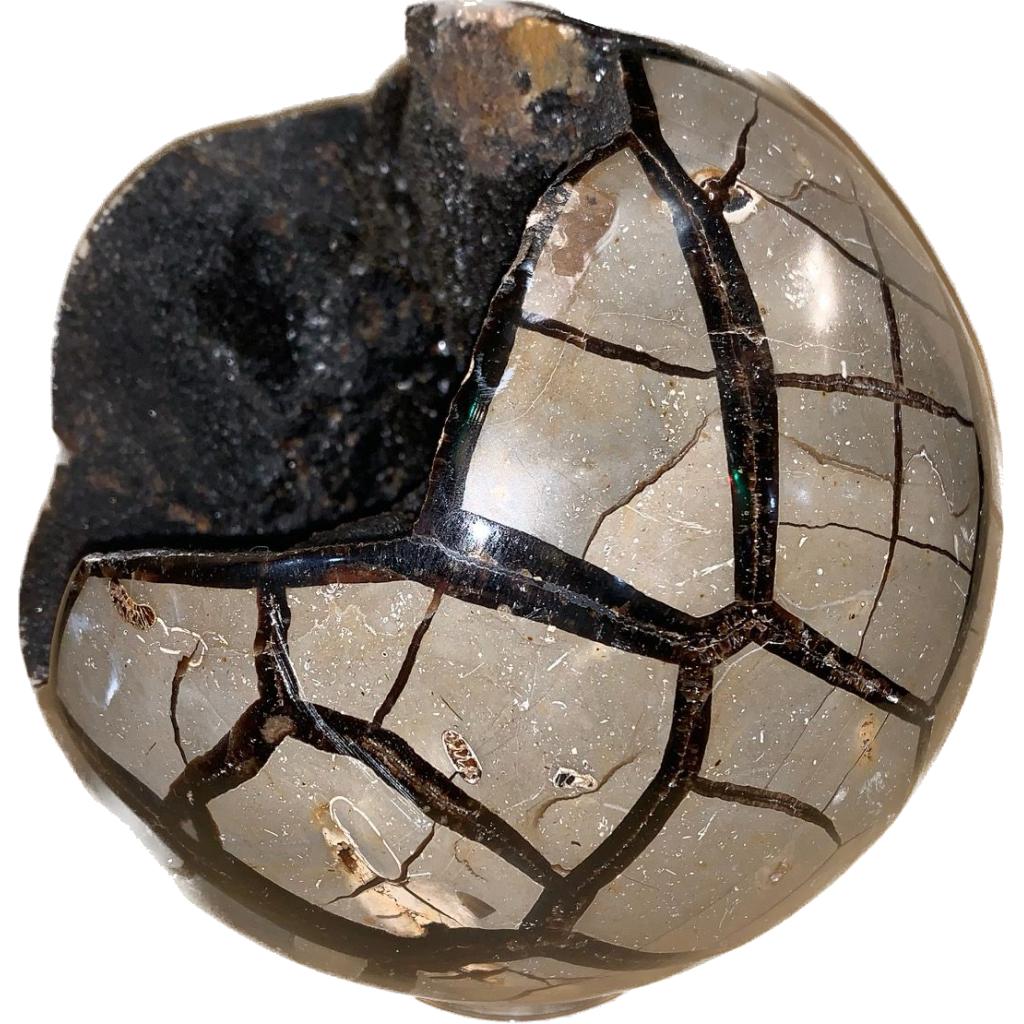 Septarian Dragon Egg sphere Madagascar, 8 inch Prehistoric Online