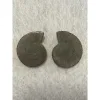 Ammonite Pair, Pyrite, 100% natural Prehistoric Online