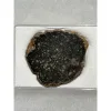 NWA 4664 meteorite slice, Diogenite-pm Prehistoric Online