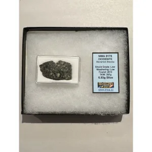 NWA 8178 meteorite slice, Diogenite Prehistoric Online