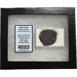 NWA 4664 meteorite slice, Diogenite-pm Prehistoric Online