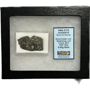 NWA 8178 meteorite slice, Diogenite Prehistoric Online